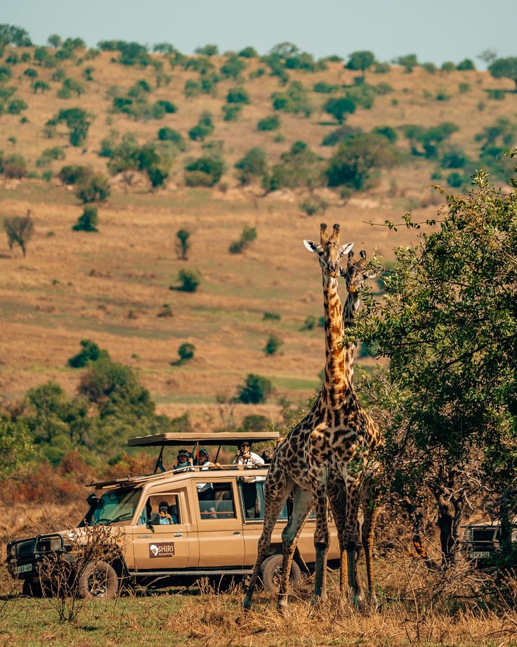 Serengeti — Days 2 & 3