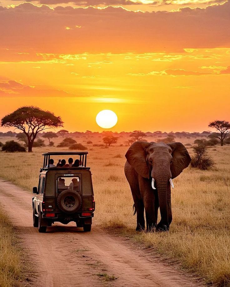 Welcome To Kenya The Heart Of Africa Wildlife