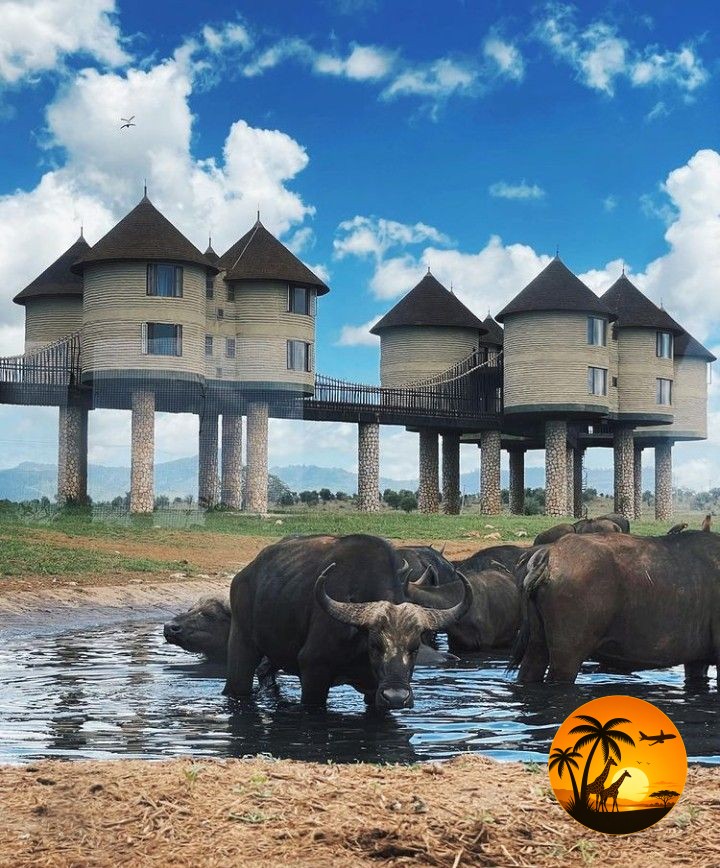3 Days Tsavo East & Salt Lick Safari – Kenya