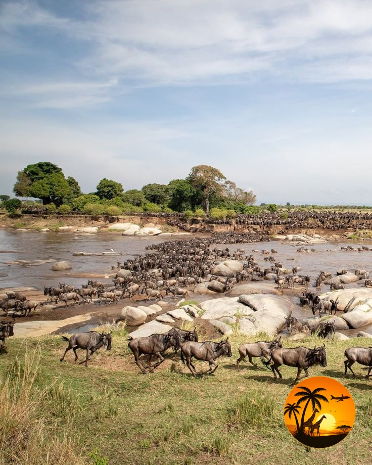 Mara River Crossings