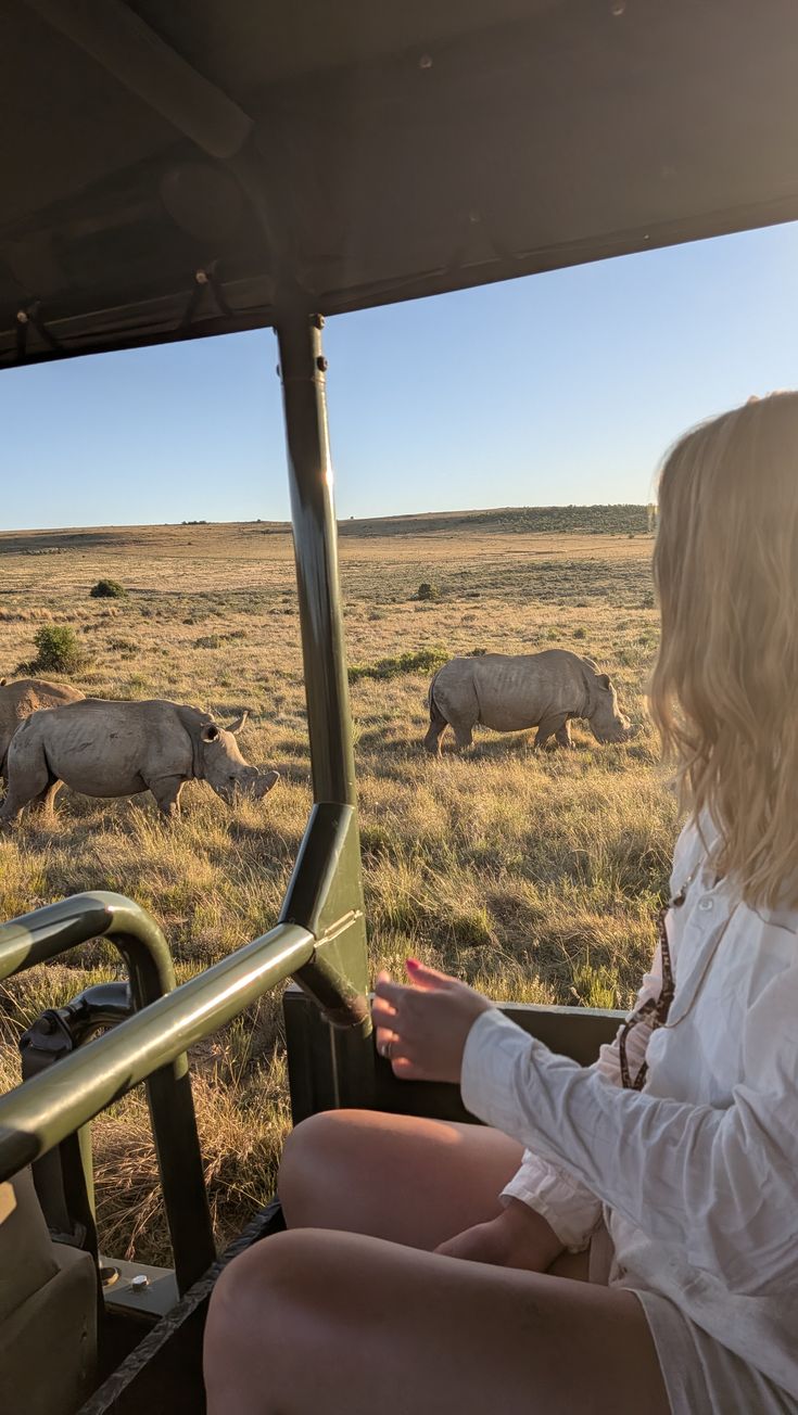 Spot of White Rhinos